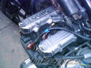 Photo 159910