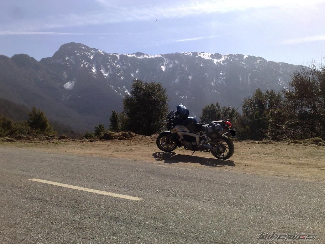 Photo 1599147