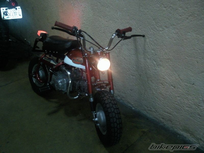 Photo 1599165