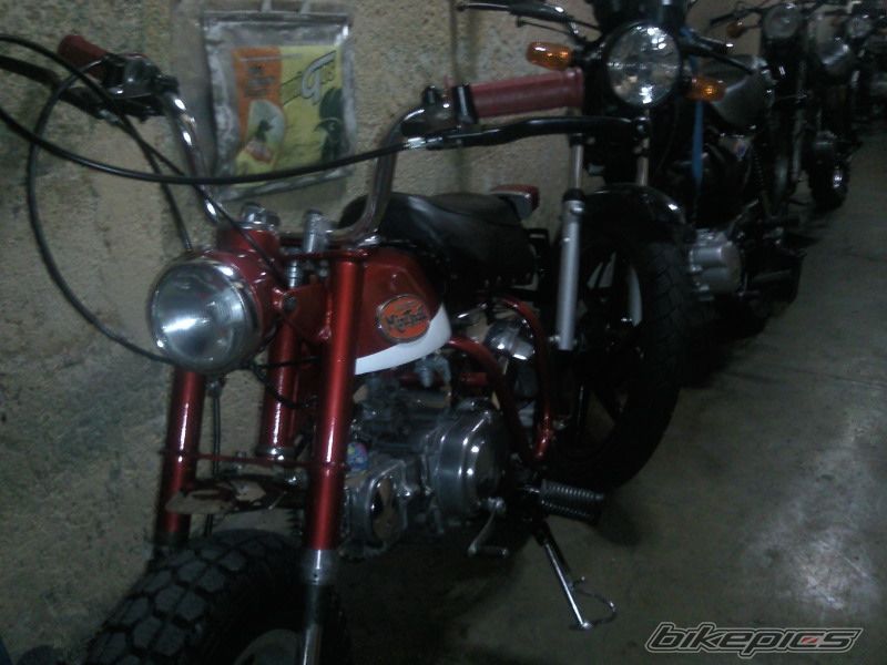 Photo 1599168
