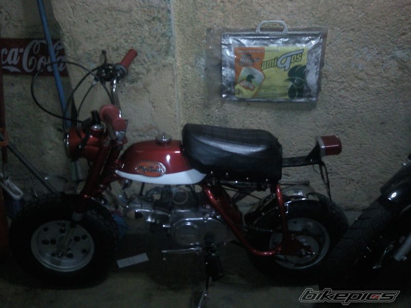 Photo 1599174