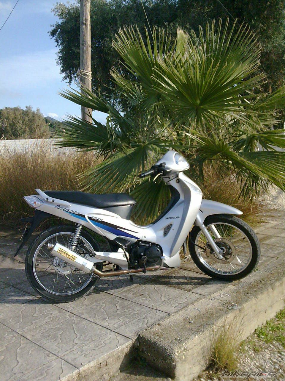 Photo 1599197