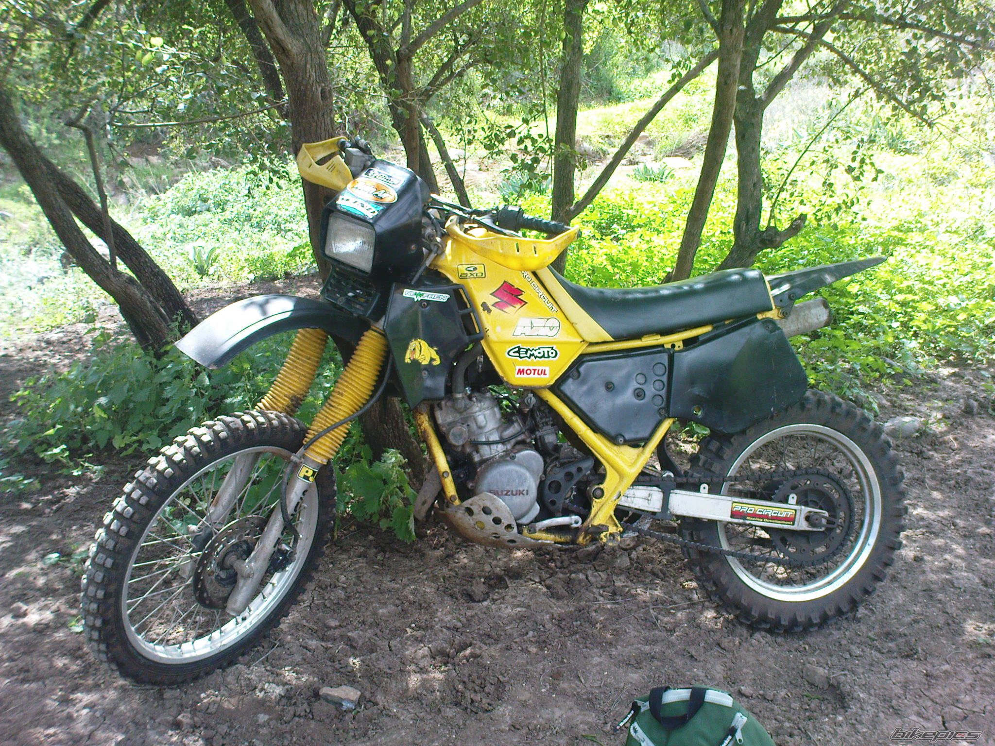 Photo 1599292