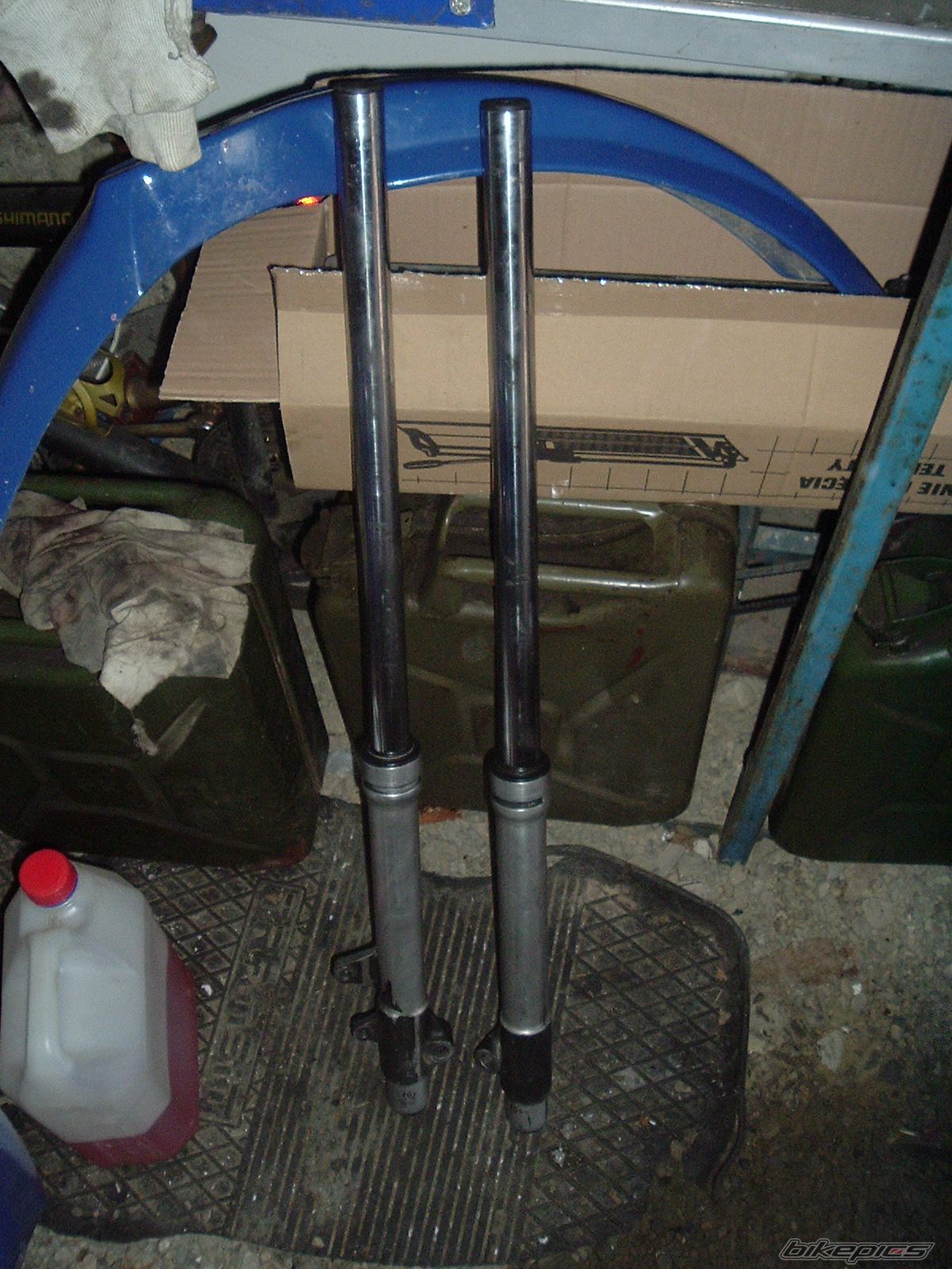 Photo 1599307