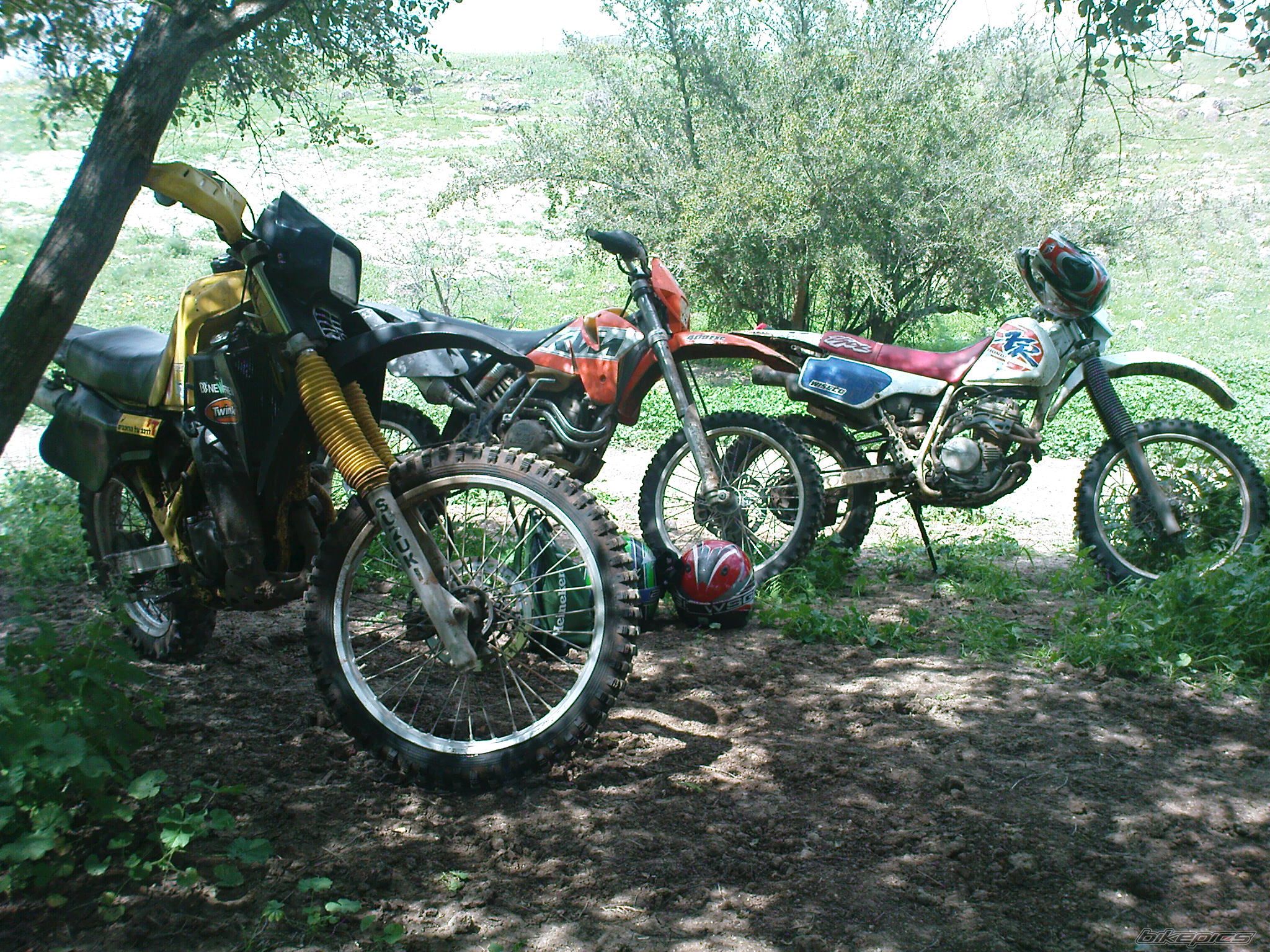 Photo 1599308