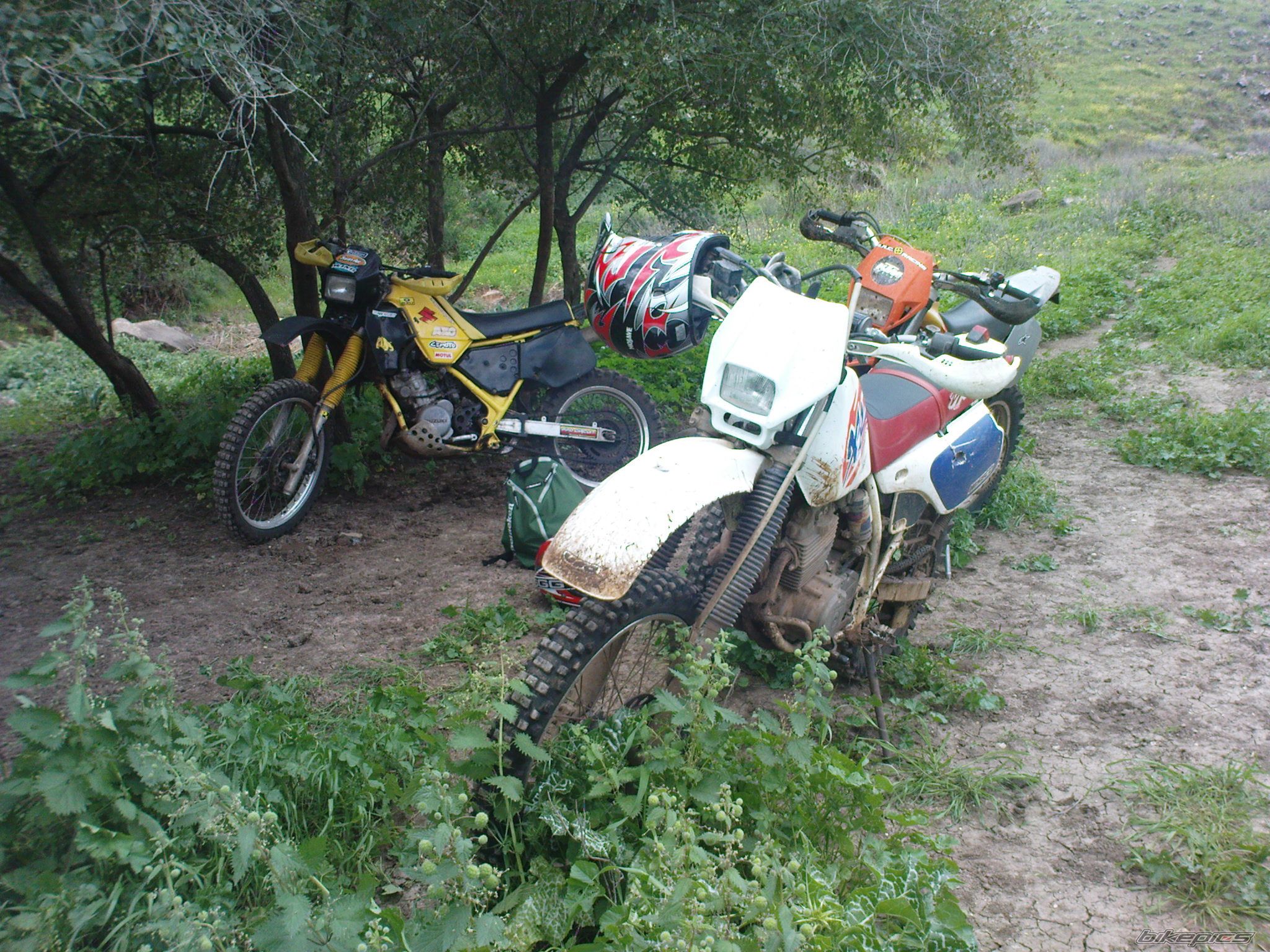 Photo 1599316