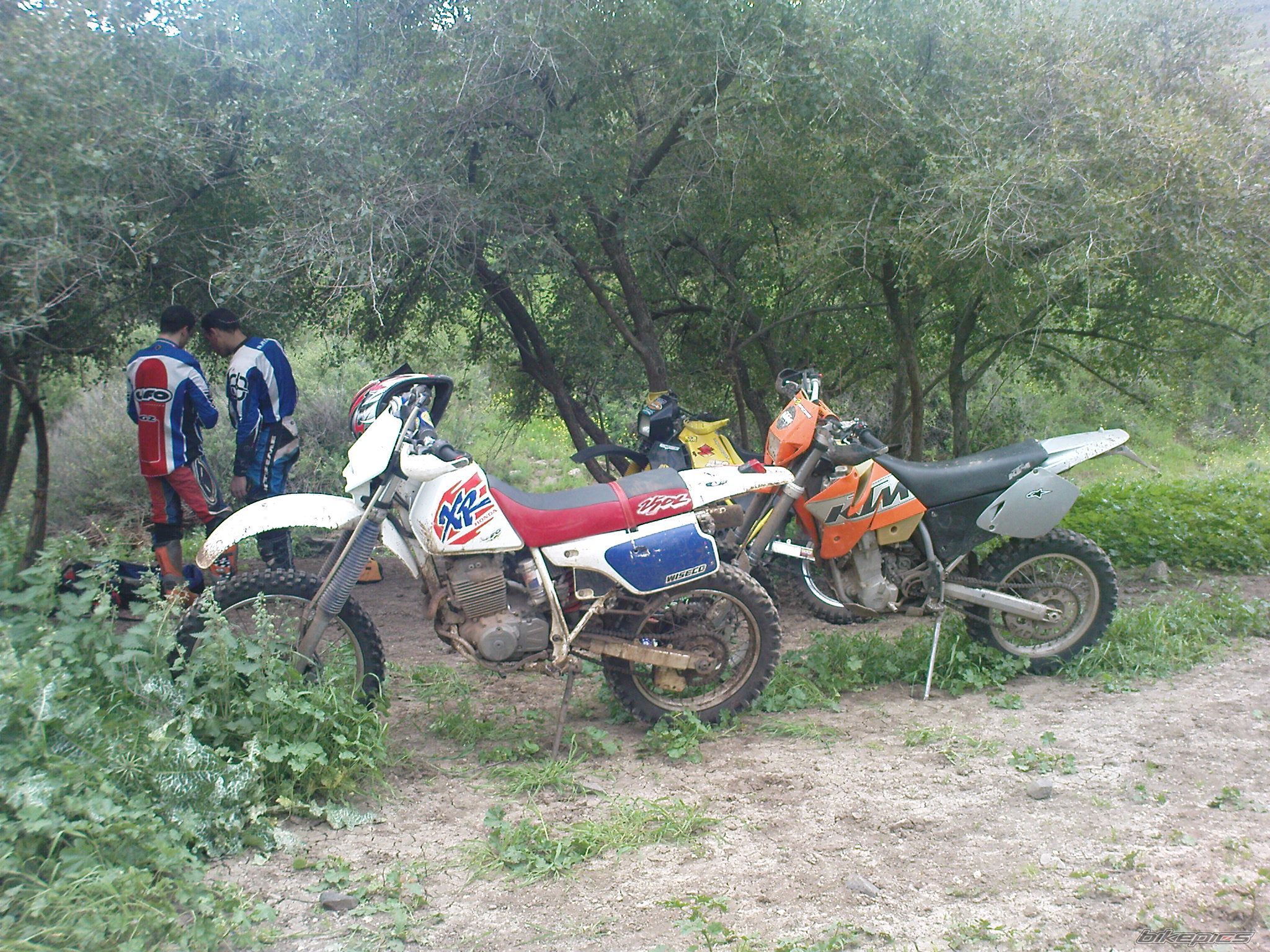 Photo 1599320