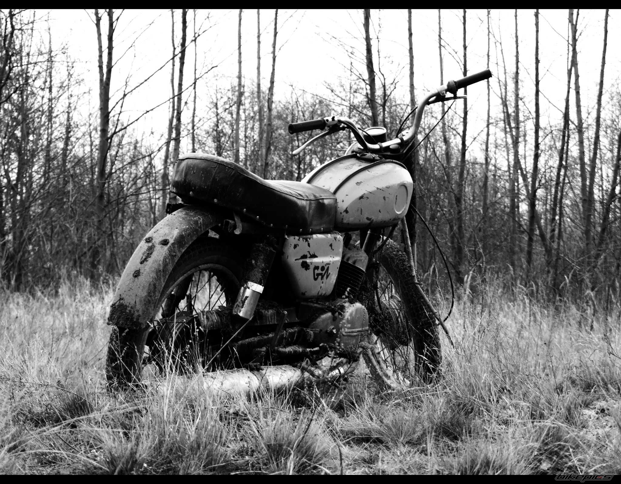 Photo 1599346