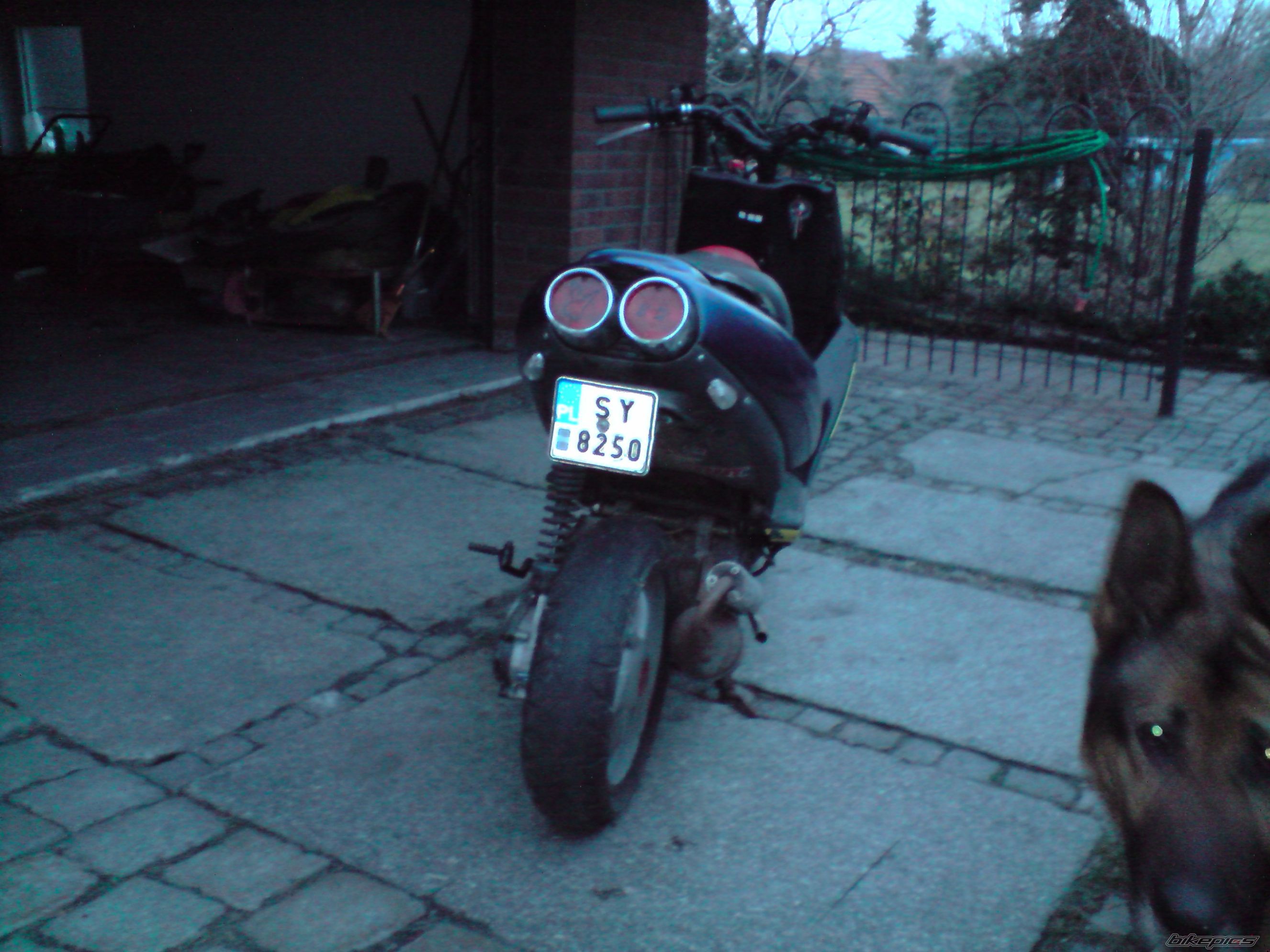 Photo 1599362