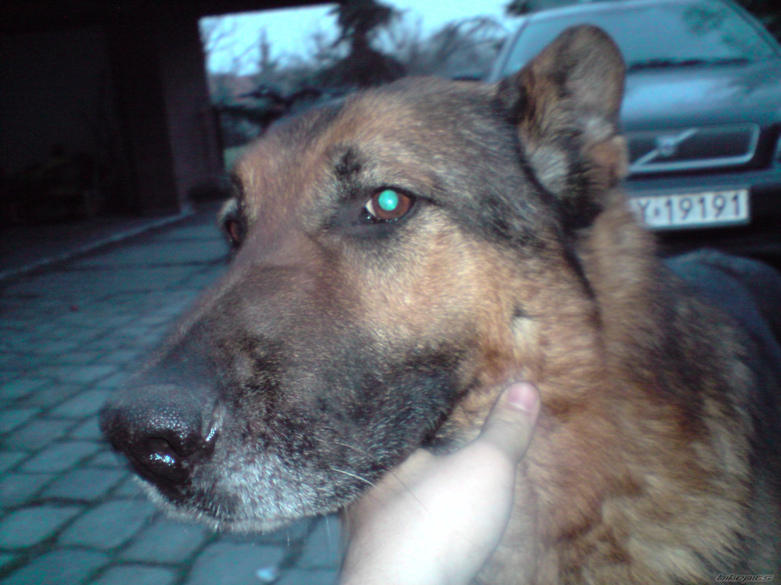 Photo 1599367