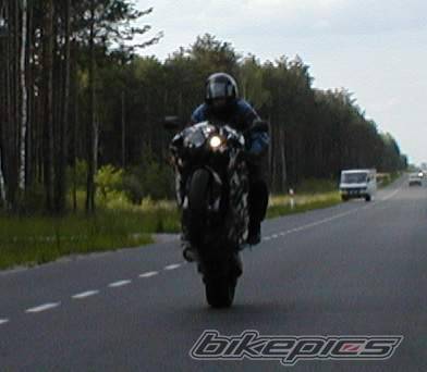 Photo 159938