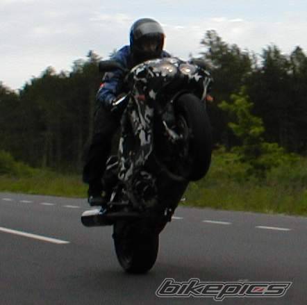 Photo 159940