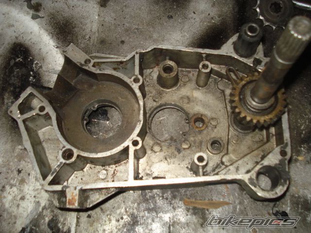 Photo 1599404