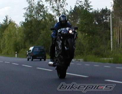Photo 159941