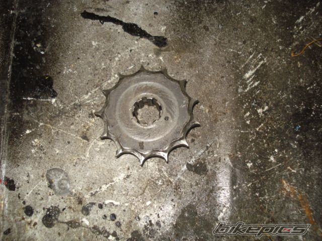 Photo 1599416