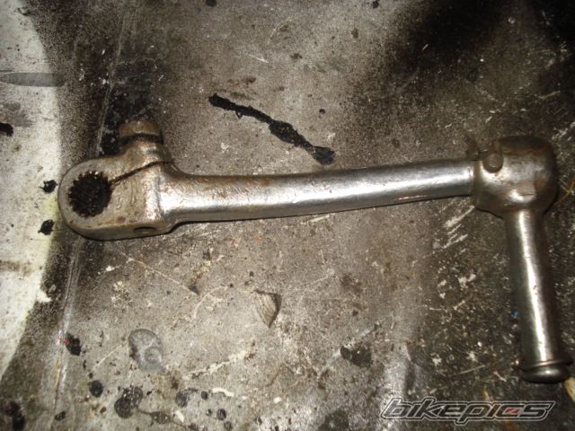 Photo 1599417