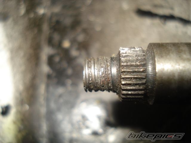 Photo 1599419