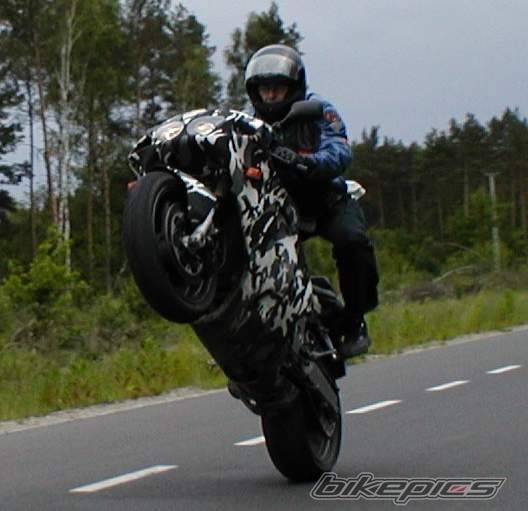 Photo 159942