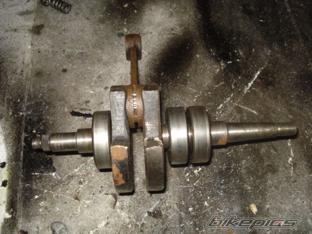 Photo 1599421