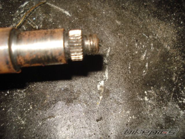 Photo 1599423