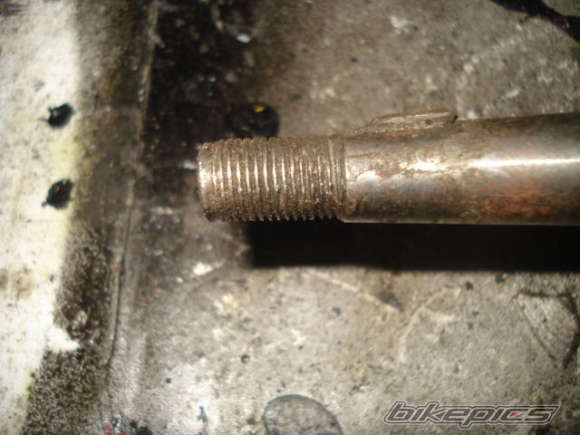 Photo 1599426