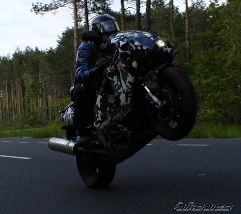 Photo 159943