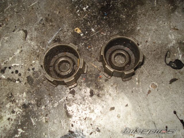 Photo 1599433