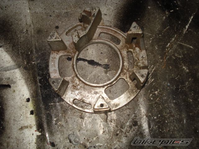 Photo 1599449