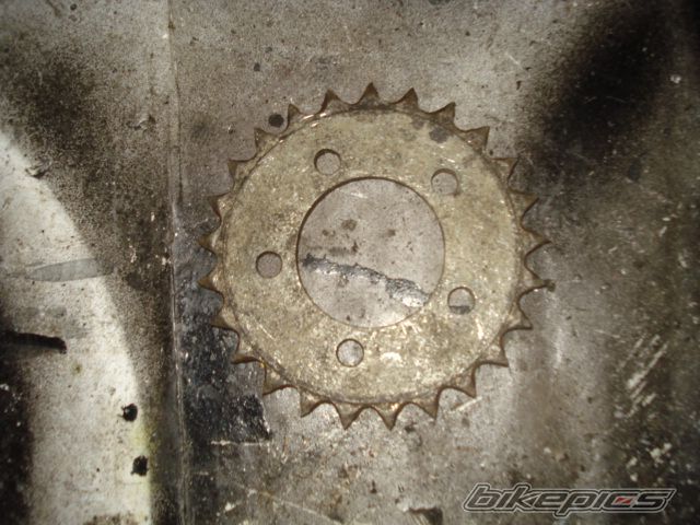 Photo 1599453