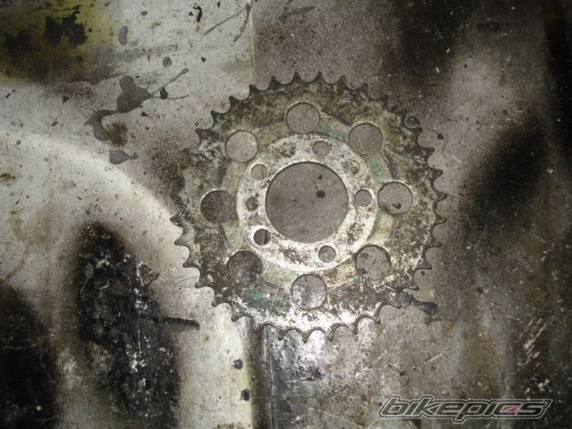 Photo 1599454