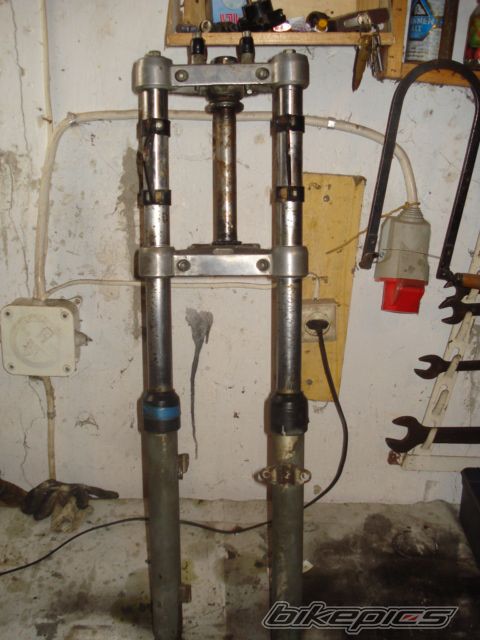 Photo 1599456