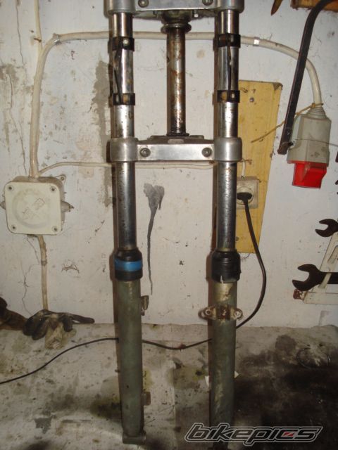 Photo 1599458