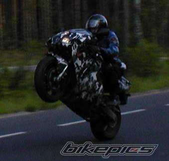 Photo 159946