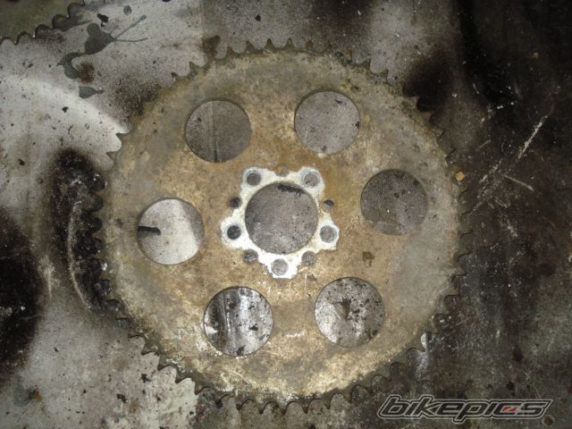 Photo 1599463