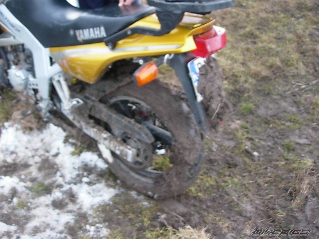 Bike Photo 1599480