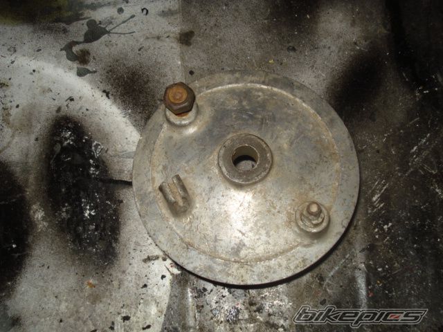 Photo 1599488
