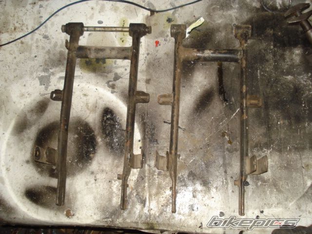 Photo 1599520