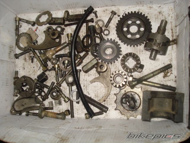 Photo 1599563