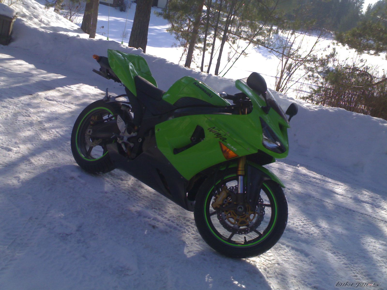 Photo 1599653