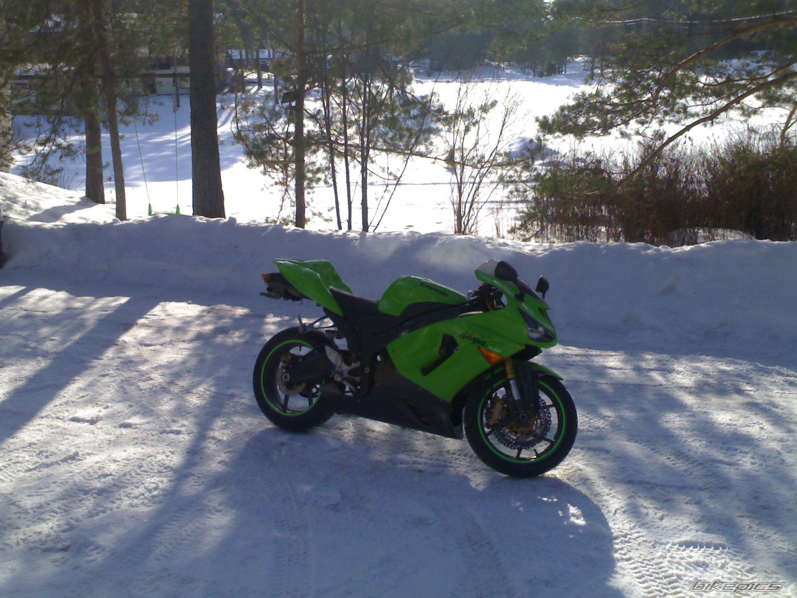 Photo 1599657