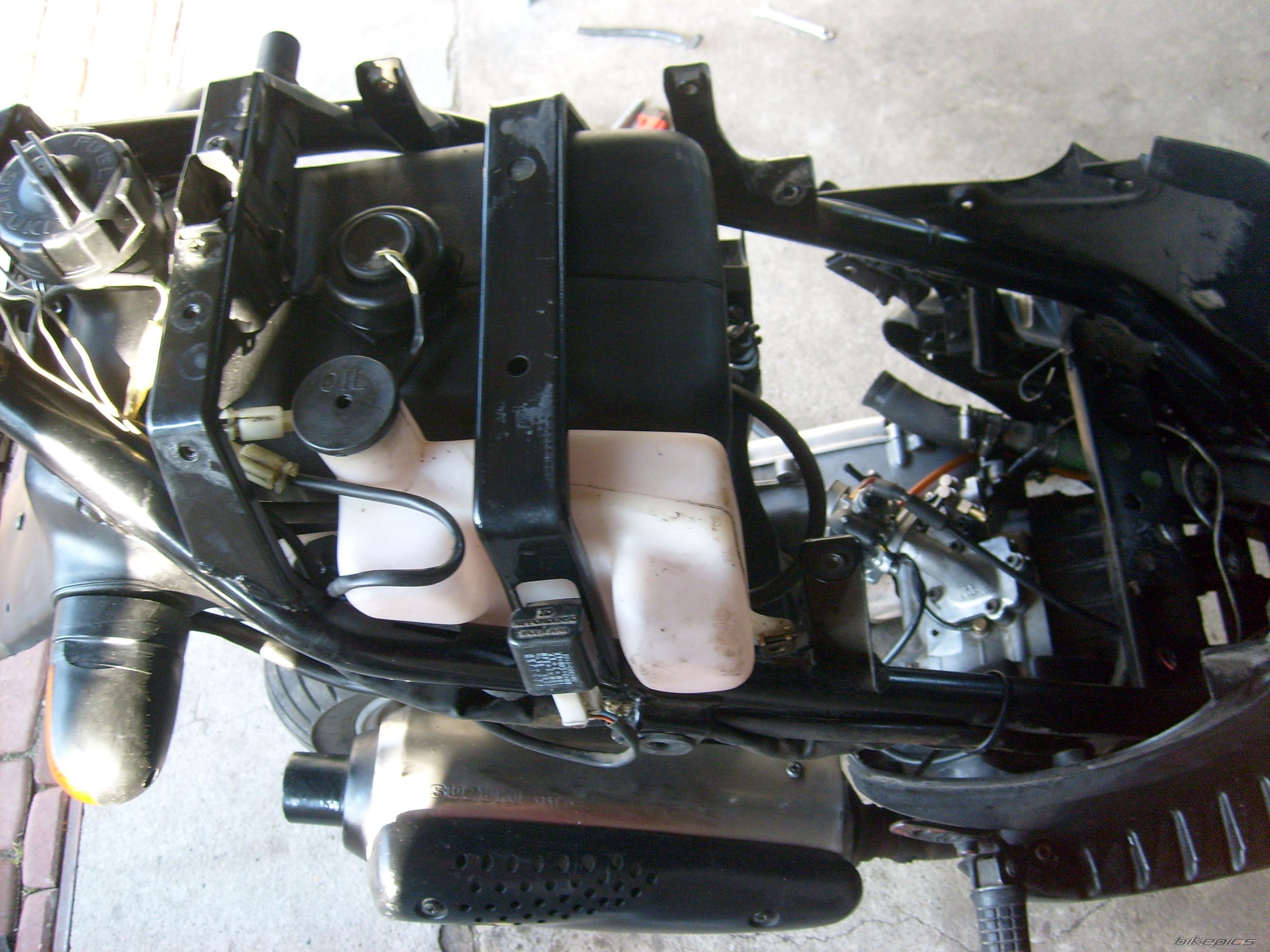 Photo 1599669