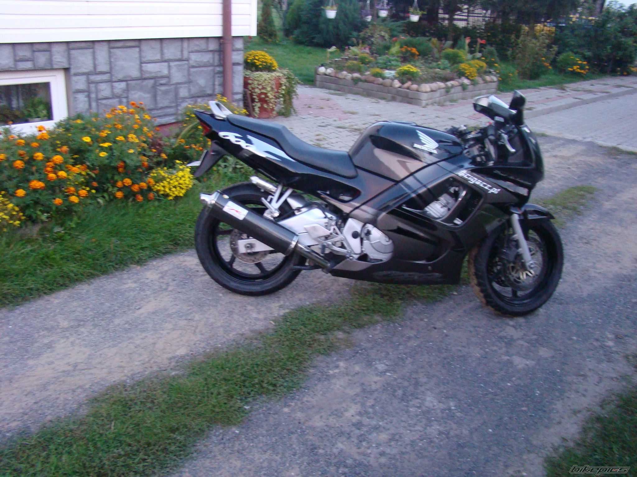 Photo 1599685