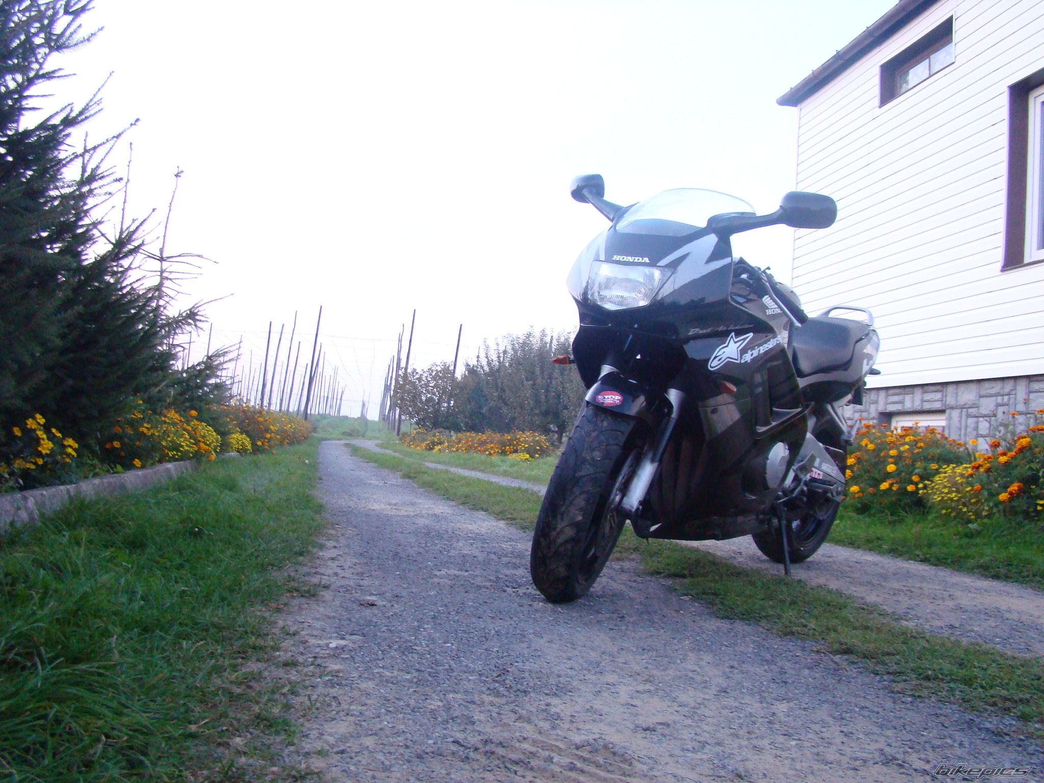 Photo 1599688