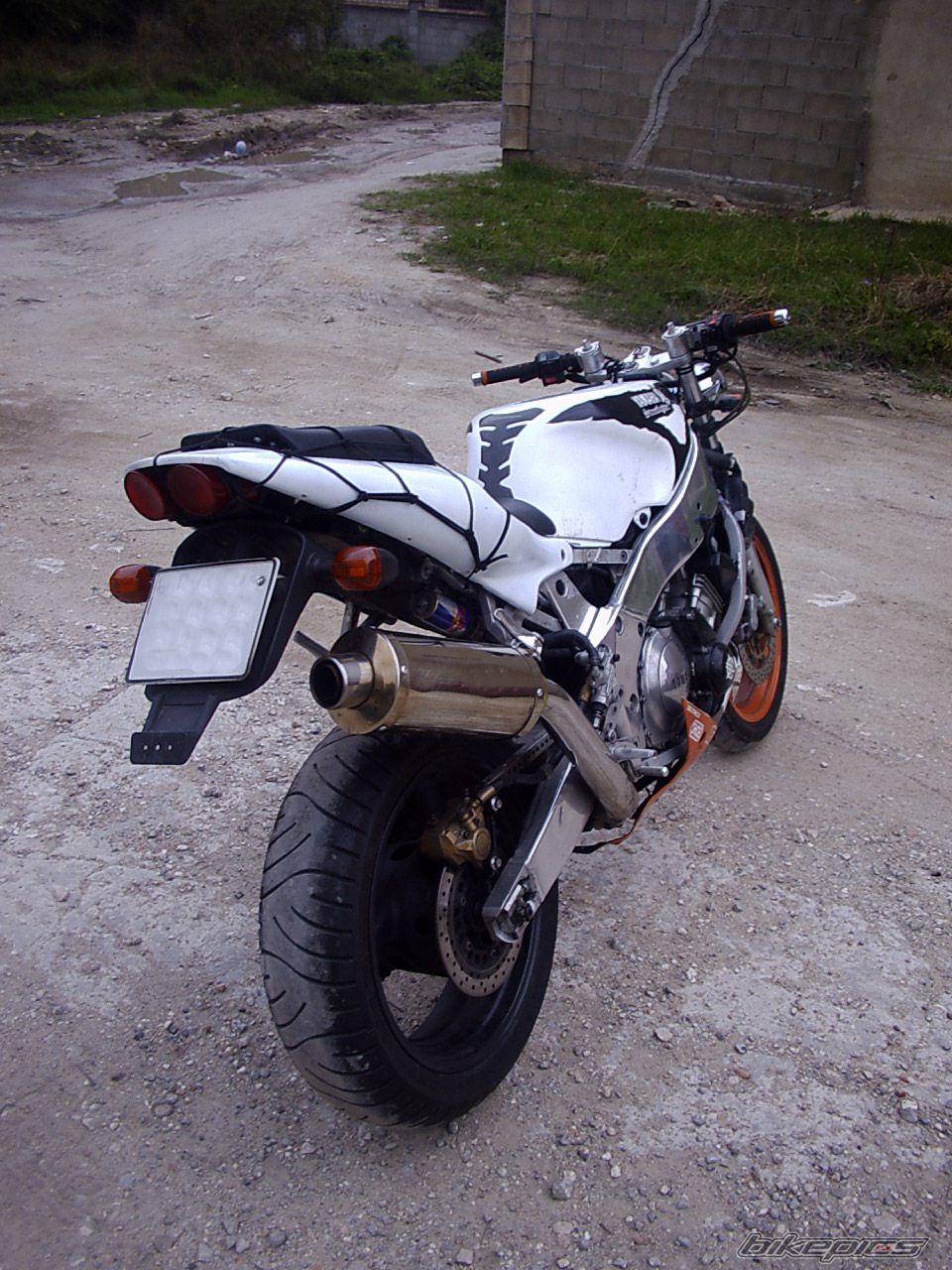 Photo 1599748