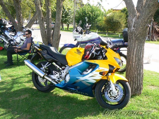 Photo 1599755