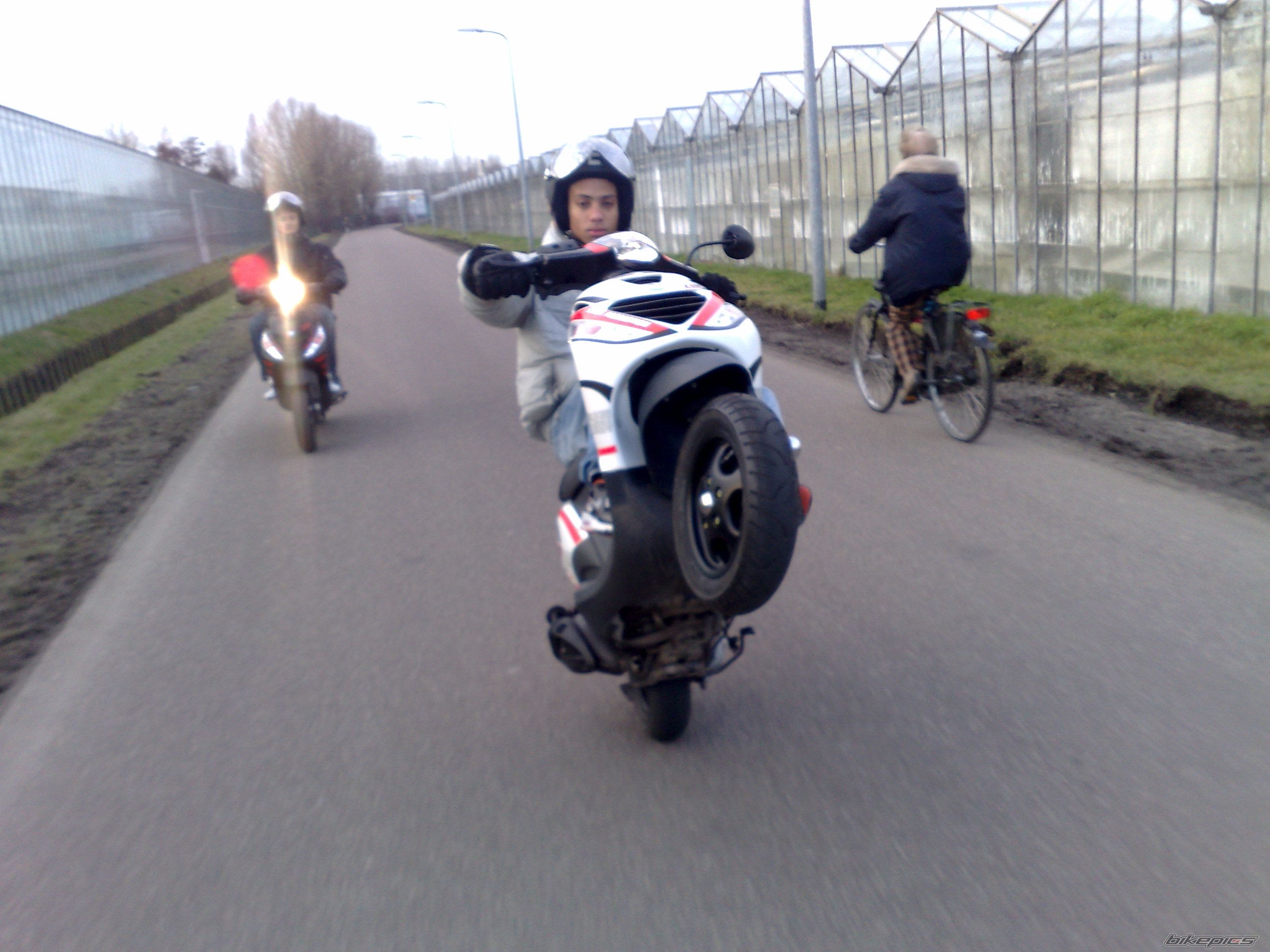Photo 1599965