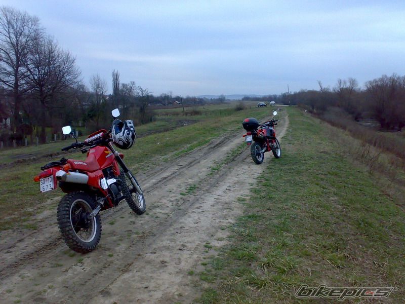 Photo 1599985