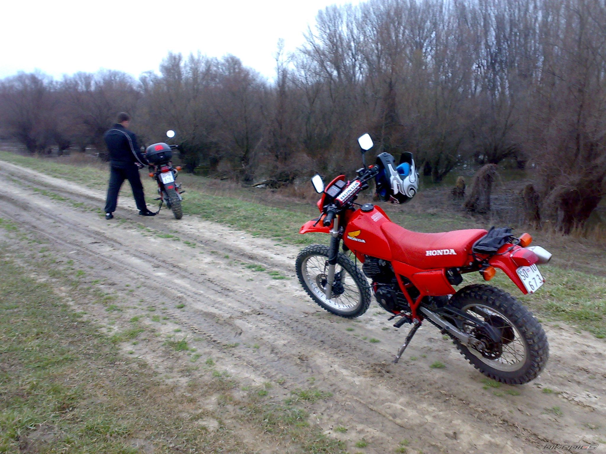 Photo 1599987