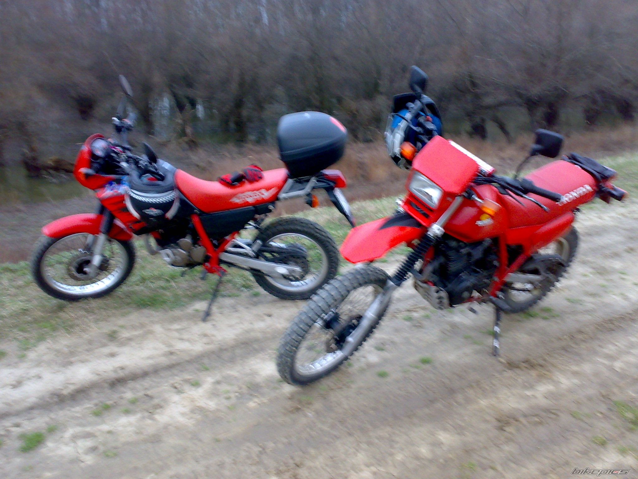 Photo 1599989