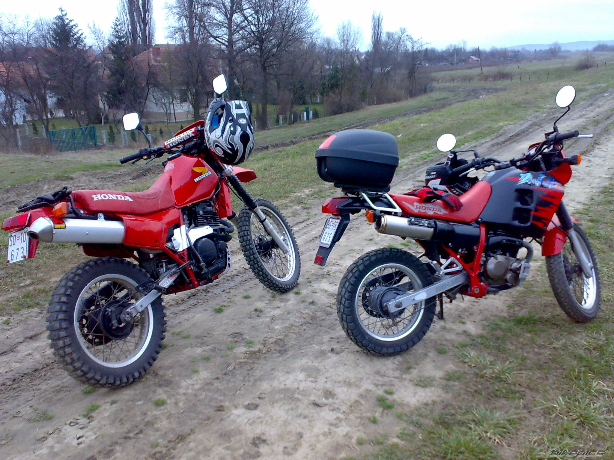 Photo 1599992